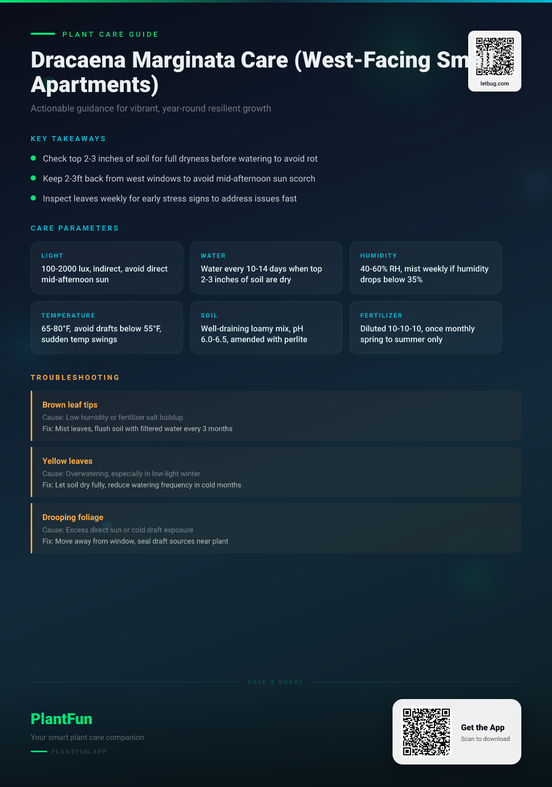 The Complete Dracaena Marginata Care Checklist for Resilient Growth in Small West-Facing Apartments — Care Guide for indoor houseplants