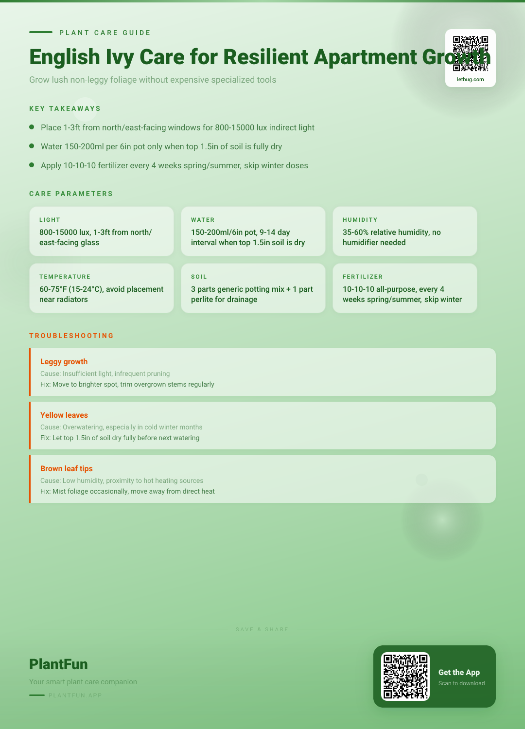 The Complete English Ivy Care Checklist for Resilient Growth in Typical Apartments — Care Guide for indoor houseplants