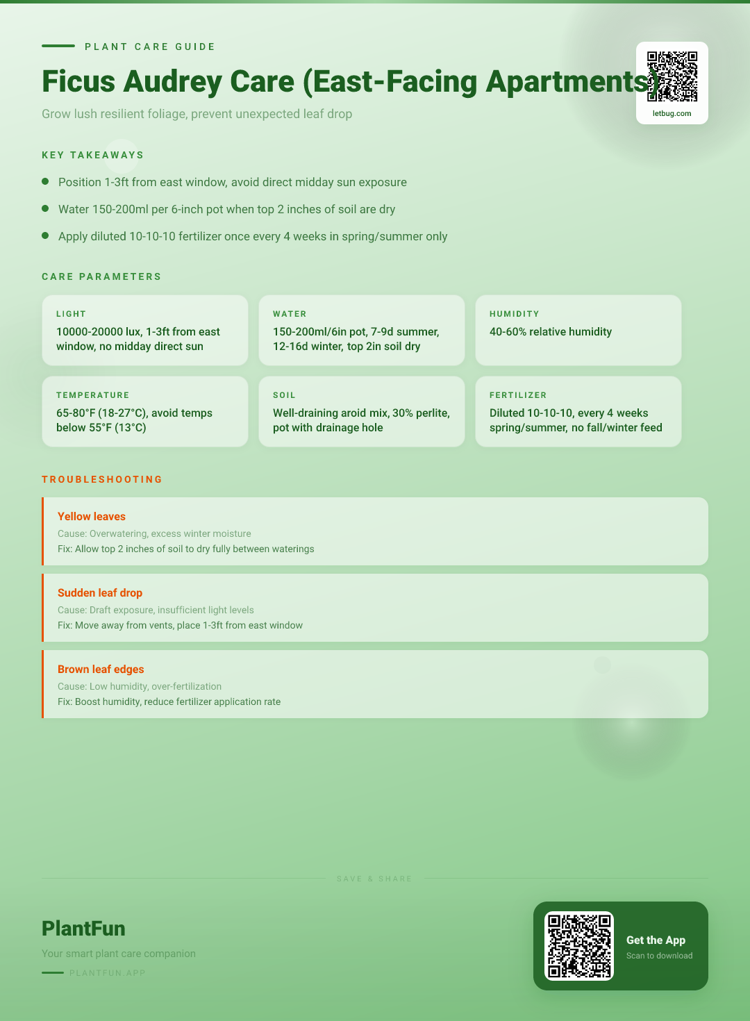 The Complete Ficus Audrey Care Checklist for East-Facing Apartments: Grow Resilient Lush Foliage — Care Guide for indoor houseplants