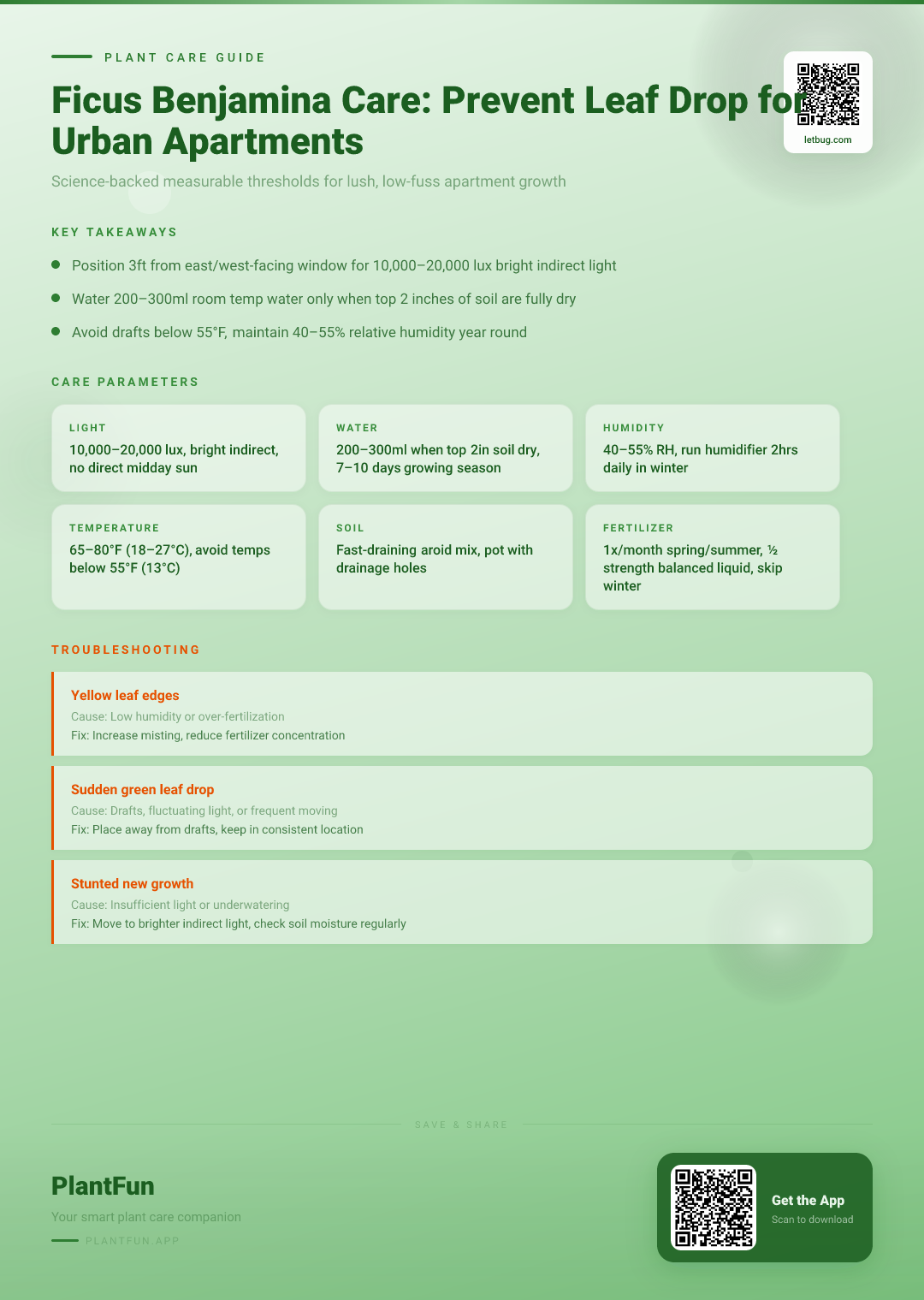 The Complete Ficus Benjamina Care Checklist for No Leaf Drop in Typical Urban Apartments — Care Guide for indoor houseplants