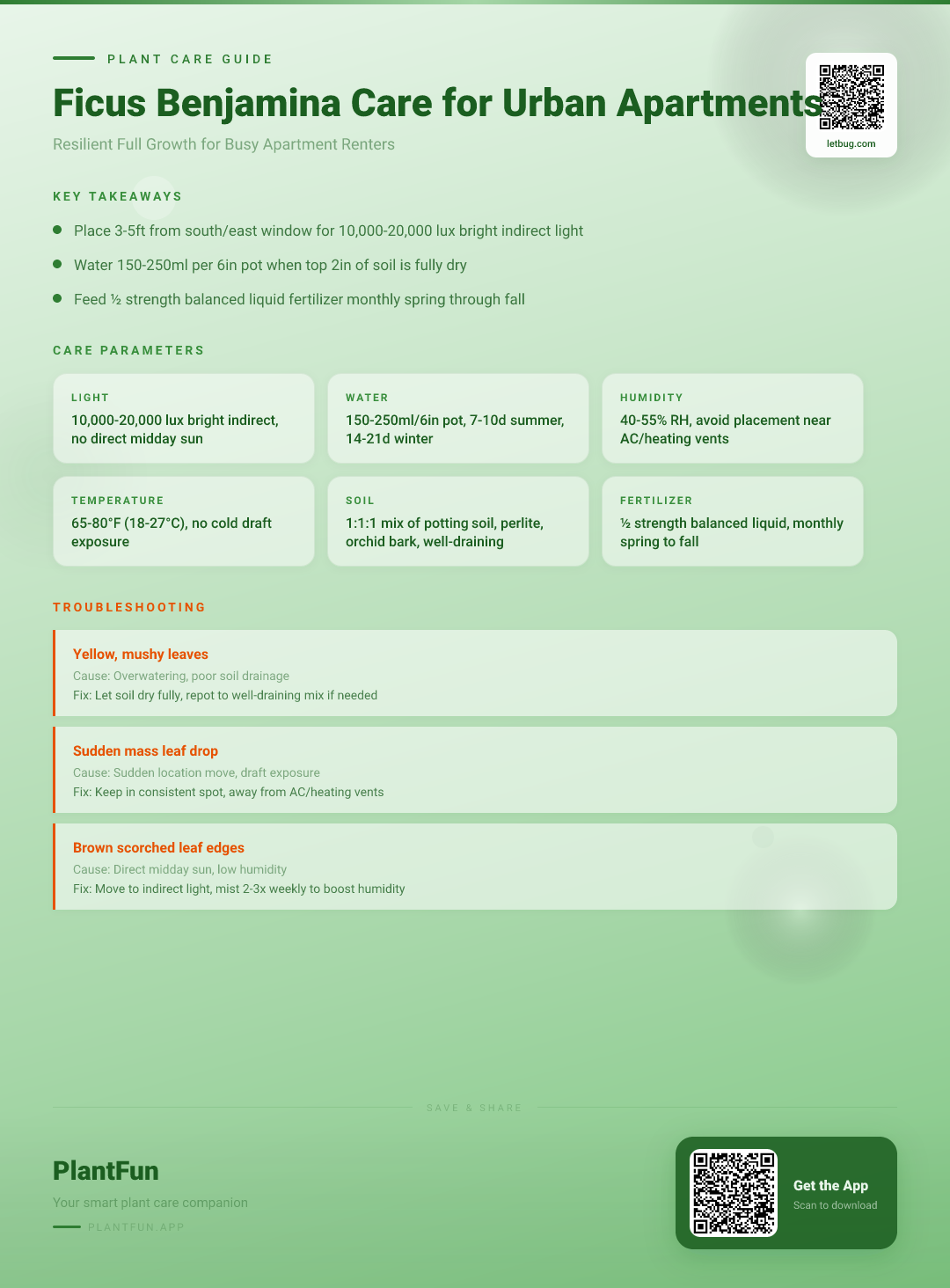 The Complete Ficus Benjamina Care Checklist for Resilient Growth in Urban Apartments — Care Guide for indoor houseplants