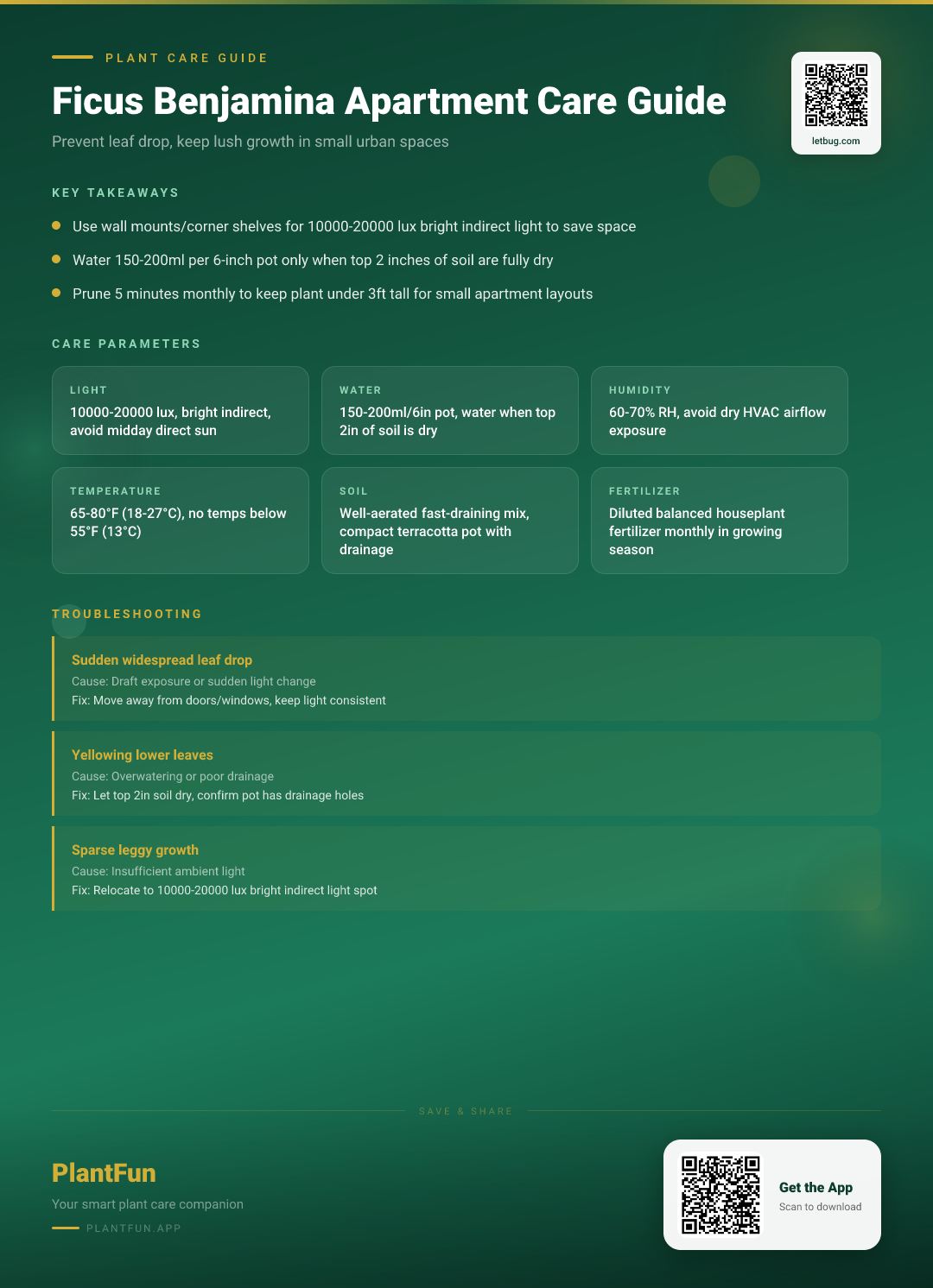 The Complete Ficus Benjamina Care Guide for Small Urban Apartments: Stop Leaf Drop Fast — Care Guide for indoor houseplants