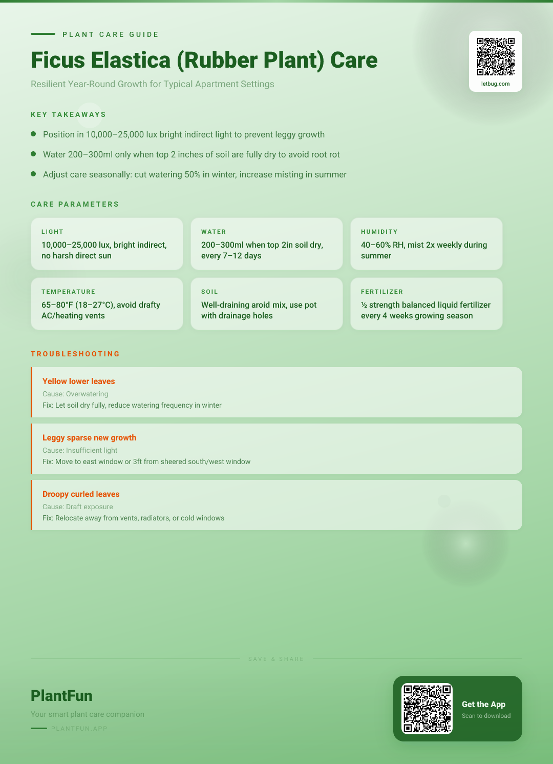 The Complete Ficus Elastica (Rubber Plant) Care Checklist for Resilient Growth in Typical Apartments — Care Guide for indoor houseplants