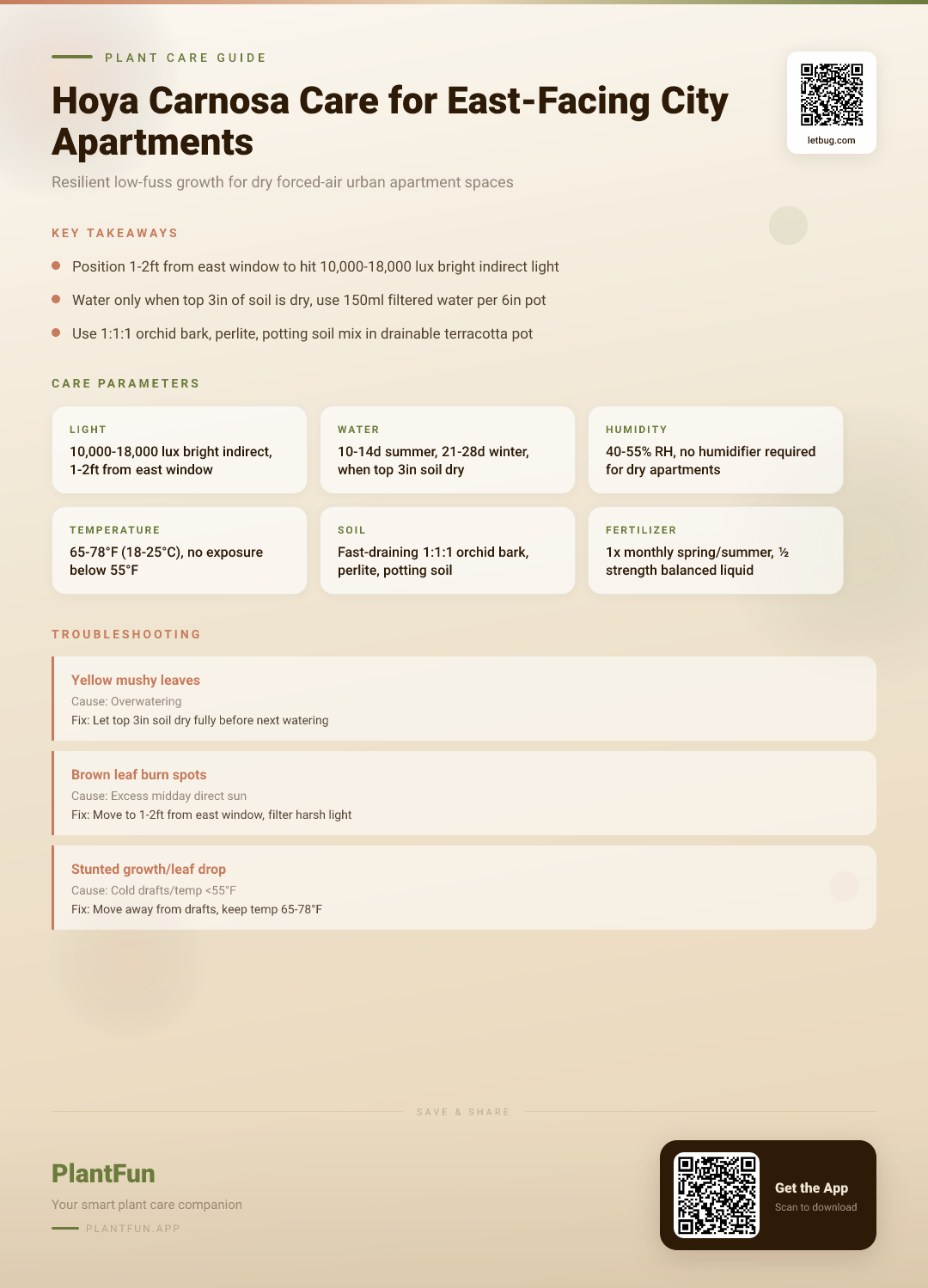 The Complete Hoya Carnosa Care Checklist for Resilient Growth in East-Facing City Apartments — Care Guide for indoor houseplants