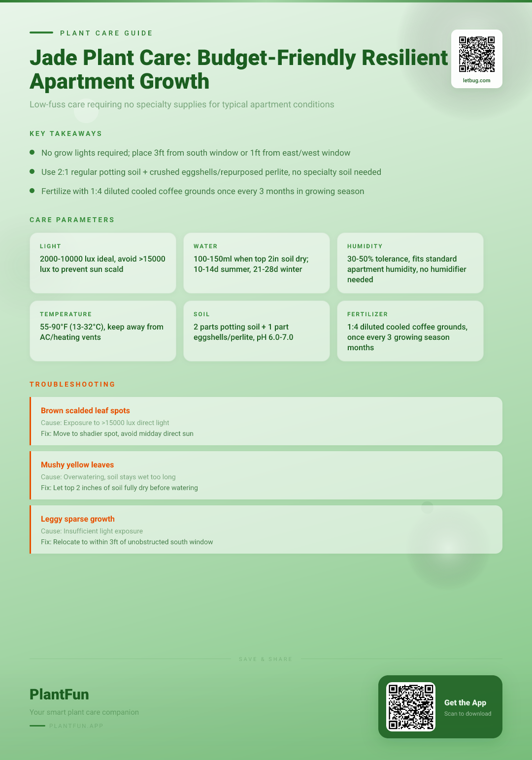 The Complete Jade Plant Care Checklist for Budget-Friendly Resilient Growth in Typical Apartments — Care Guide for indoor houseplants