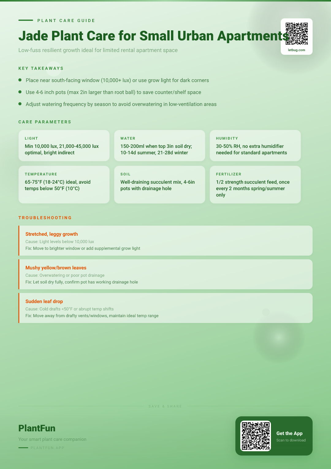 The Complete Jade Plant Care Checklist for Resilient Growth in Small Urban Apartments — Care Guide for indoor houseplants