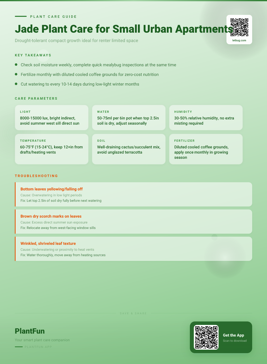 The Complete Jade Plant Care Checklist for Thriving Growth in Small Urban Apartments — Care Guide for indoor houseplants