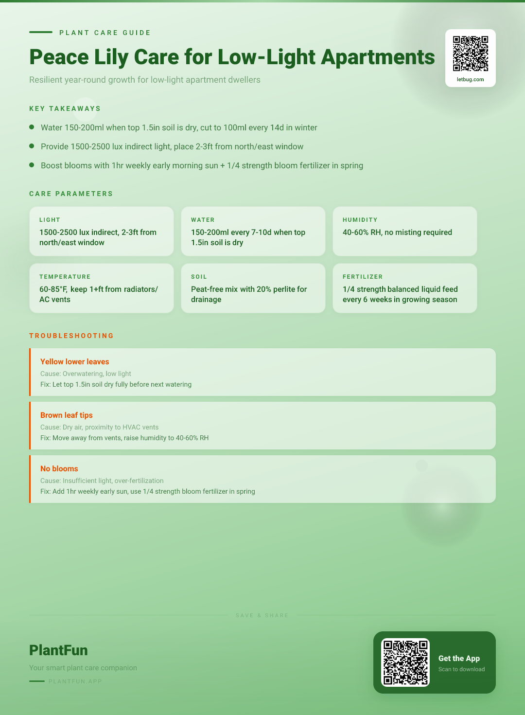 The Complete Peace Lily Care Checklist for Resilient Year-Round Growth in Typical Low-Light Apartments — Care Guide for indoor houseplants