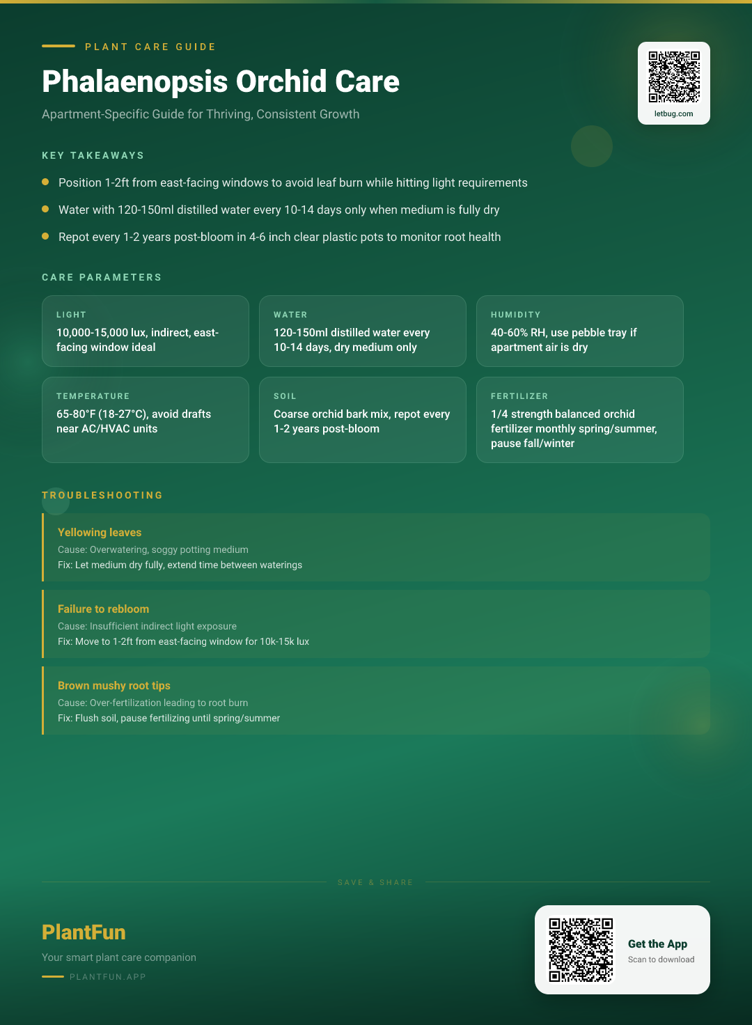 The Complete Phalaenopsis Orchid Care Checklist for Thriving Growth in Small Urban Apartments — Care Guide for indoor houseplants