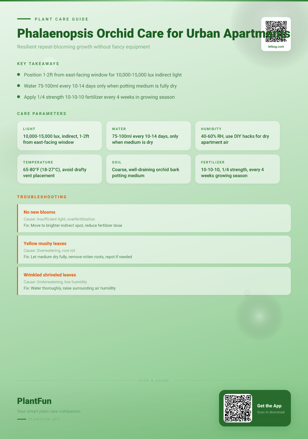 The Complete Phalaenopsis Orchid Care Checklist for Thriving in Typical Urban Apartments — Care Guide for indoor houseplants