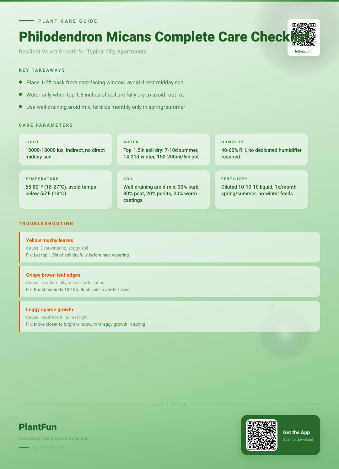 The Complete Philodendron Micans Care Checklist for Resilient Velvet Growth in Typical City Apartments — Care Guide for indoor houseplants