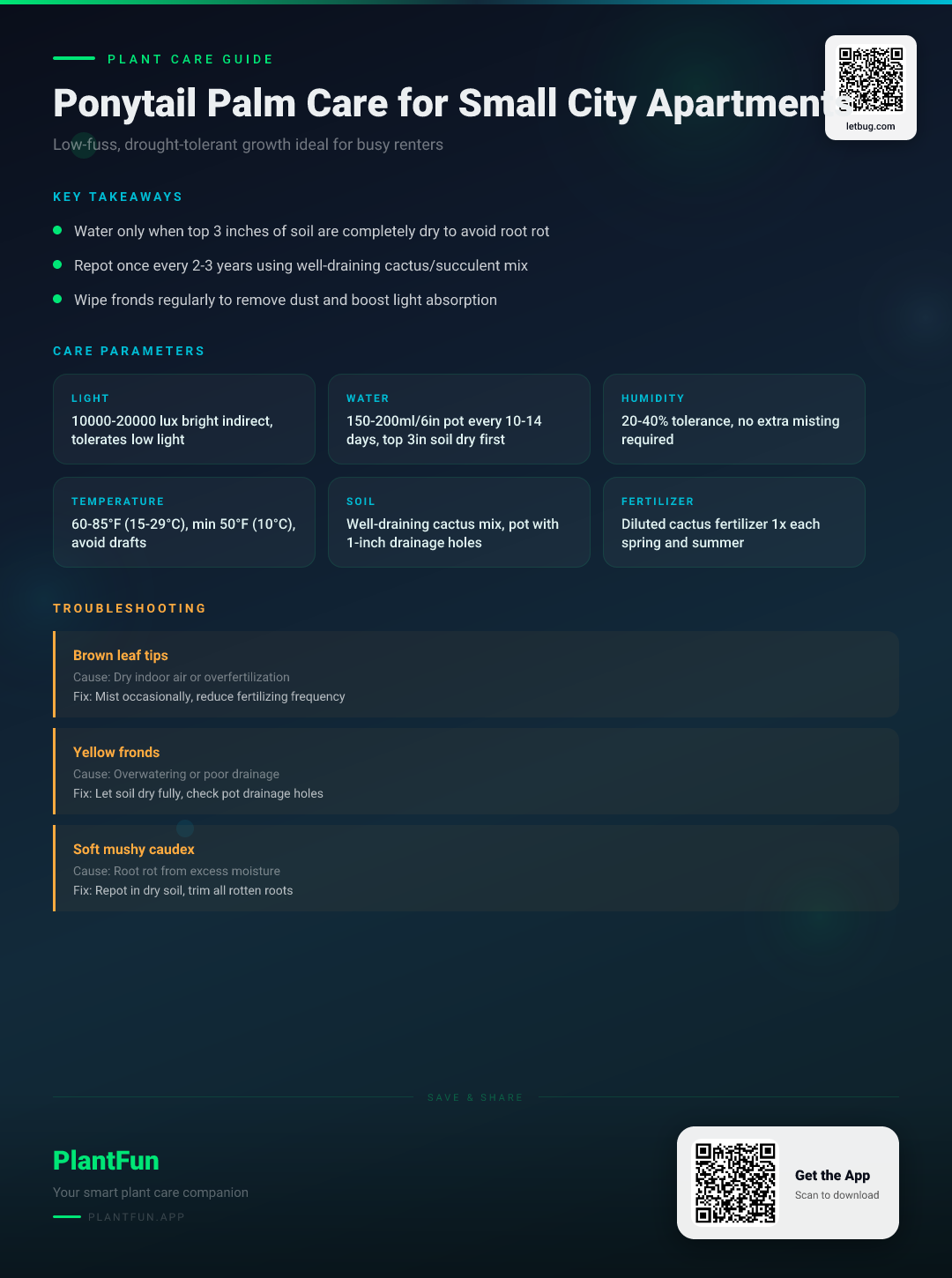The Complete Ponytail Palm Care Checklist for Resilient Growth in Small Urban Apartments — Care Guide for indoor houseplants