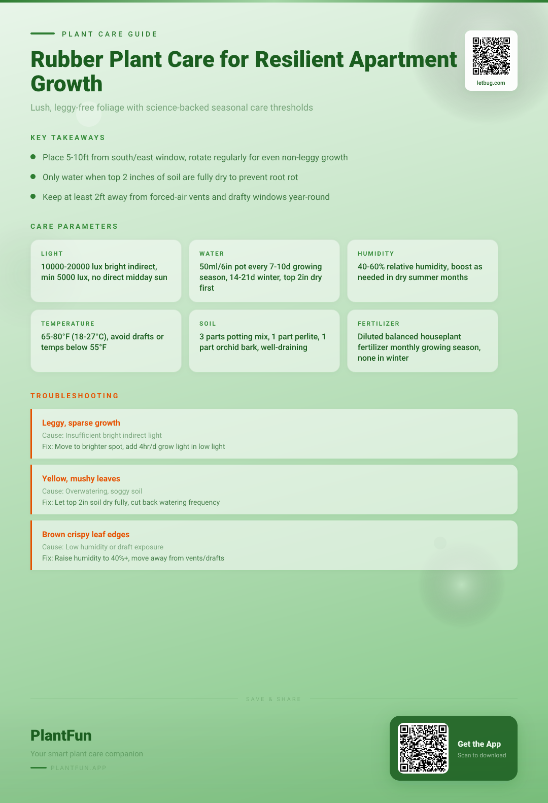 The Complete Rubber Plant Care Checklist for Resilient Growth in Typical Apartments — Care Guide for indoor houseplants