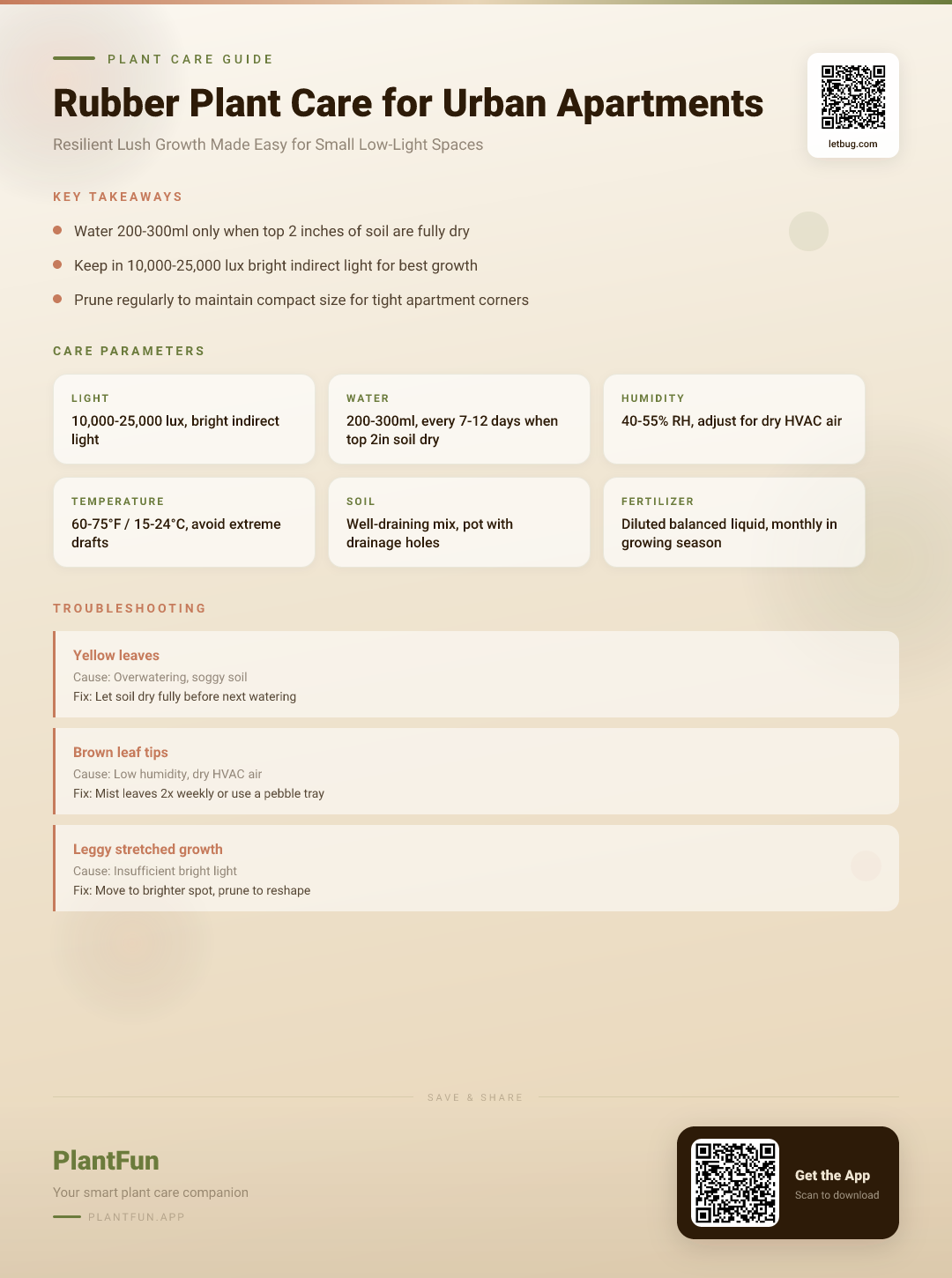 The Complete Rubber Plant Care Guide for Typical Urban Apartments: Resilient Growth Made Easy — Care Guide for indoor houseplants