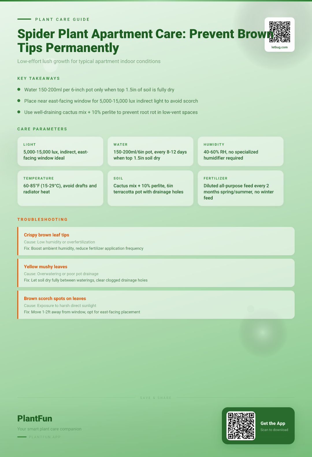 The Complete Spider Plant Care Checklist for Typical Apartments: Stop Brown Tips Permanently — Care Guide for indoor houseplants