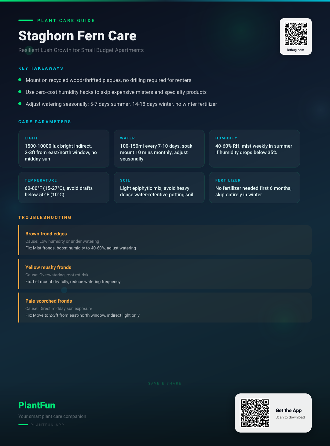 The Complete Staghorn Fern Care Checklist for Resilient Growth in Small Budget Apartments — Care Guide for indoor houseplants