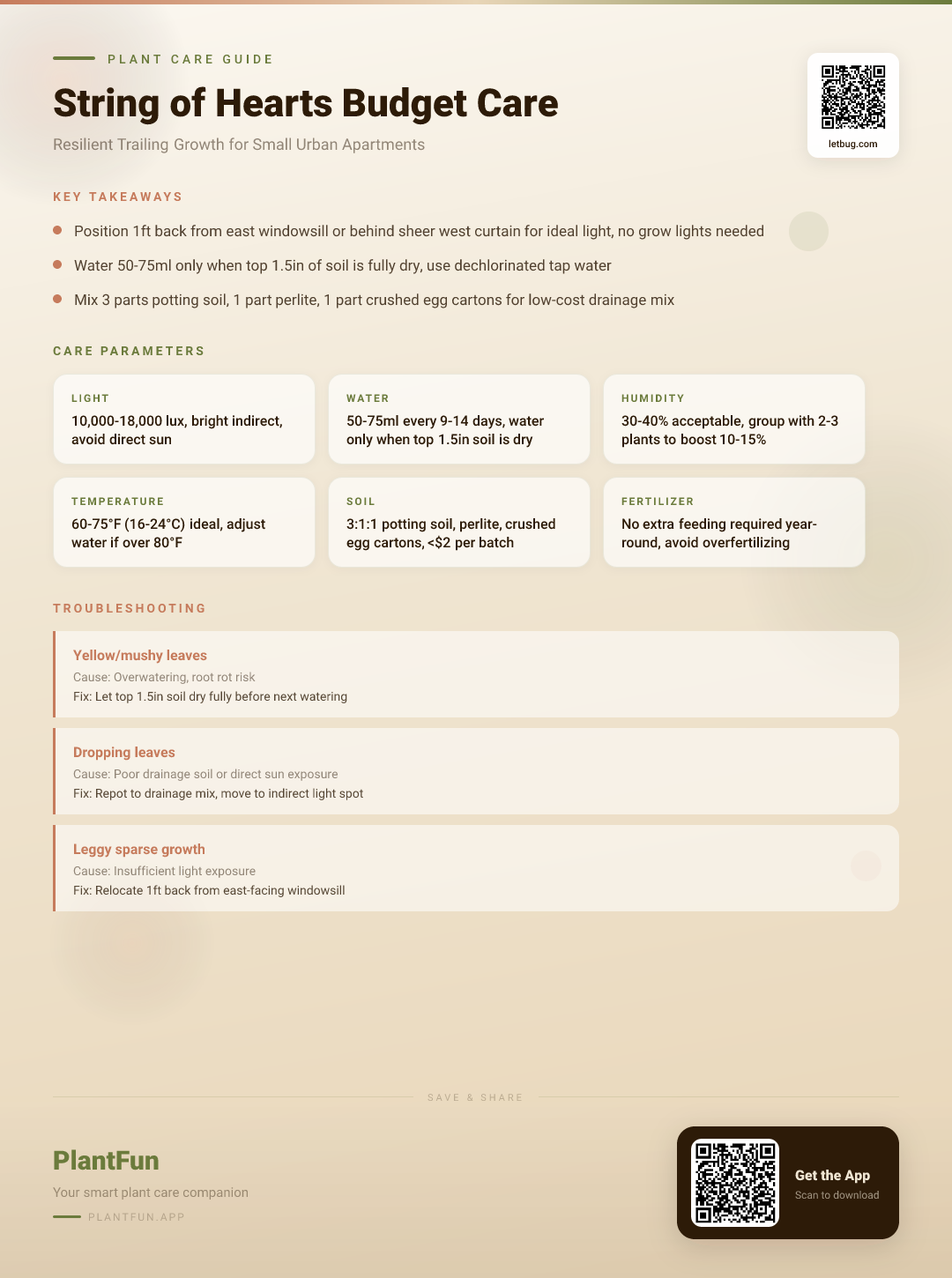 The Complete String of Hearts Budget Care Guide for Small Urban Apartments for Resilient Trailing Growth — Care Guide for indoor houseplants