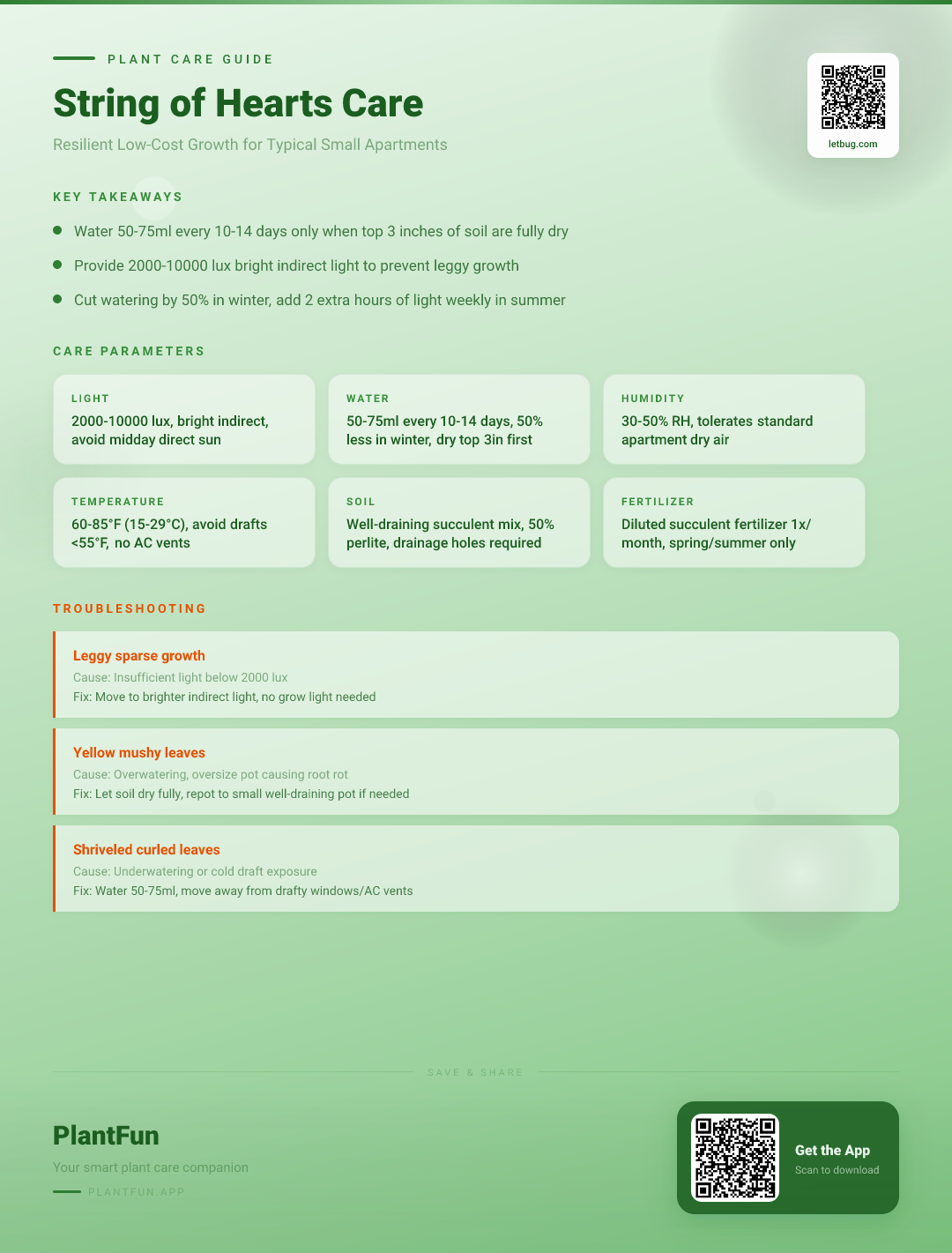 The Complete String of Hearts Care Checklist for Resilient Low-Cost Growth in Typical Small Apartments — Care Guide for indoor houseplants