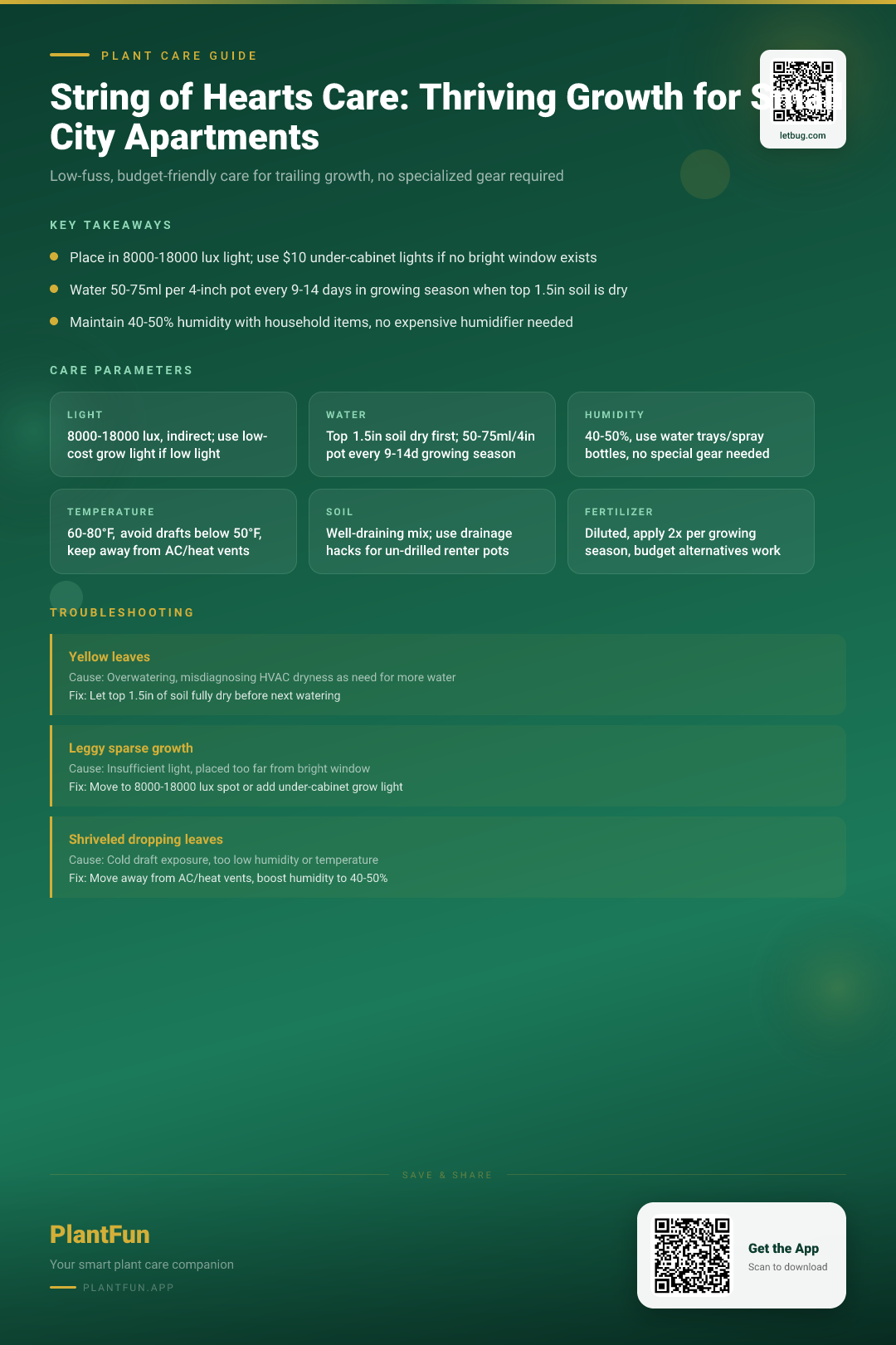 The Complete String of Hearts Care Checklist for Thriving Growth in Small City Apartments — Care Guide for indoor houseplants