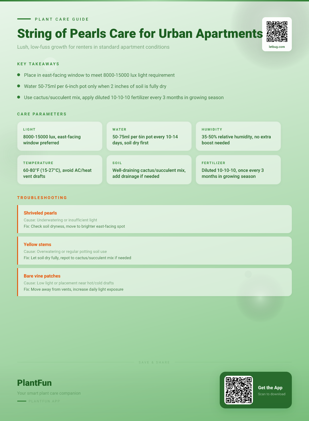 The Complete String of Pearls Care Checklist for Lush Growth in Typical Urban Apartments — Care Guide for indoor houseplants