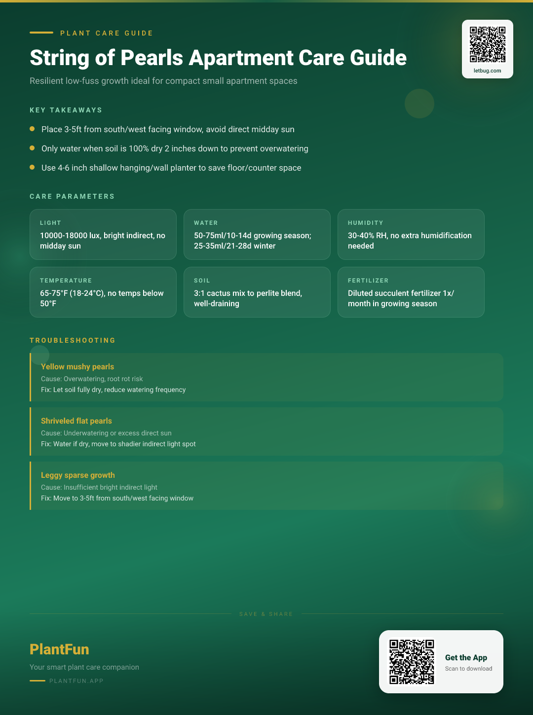 The Complete String of Pearls Care Checklist for Resilient Growth in Small Urban Apartments — Care Guide for indoor houseplants