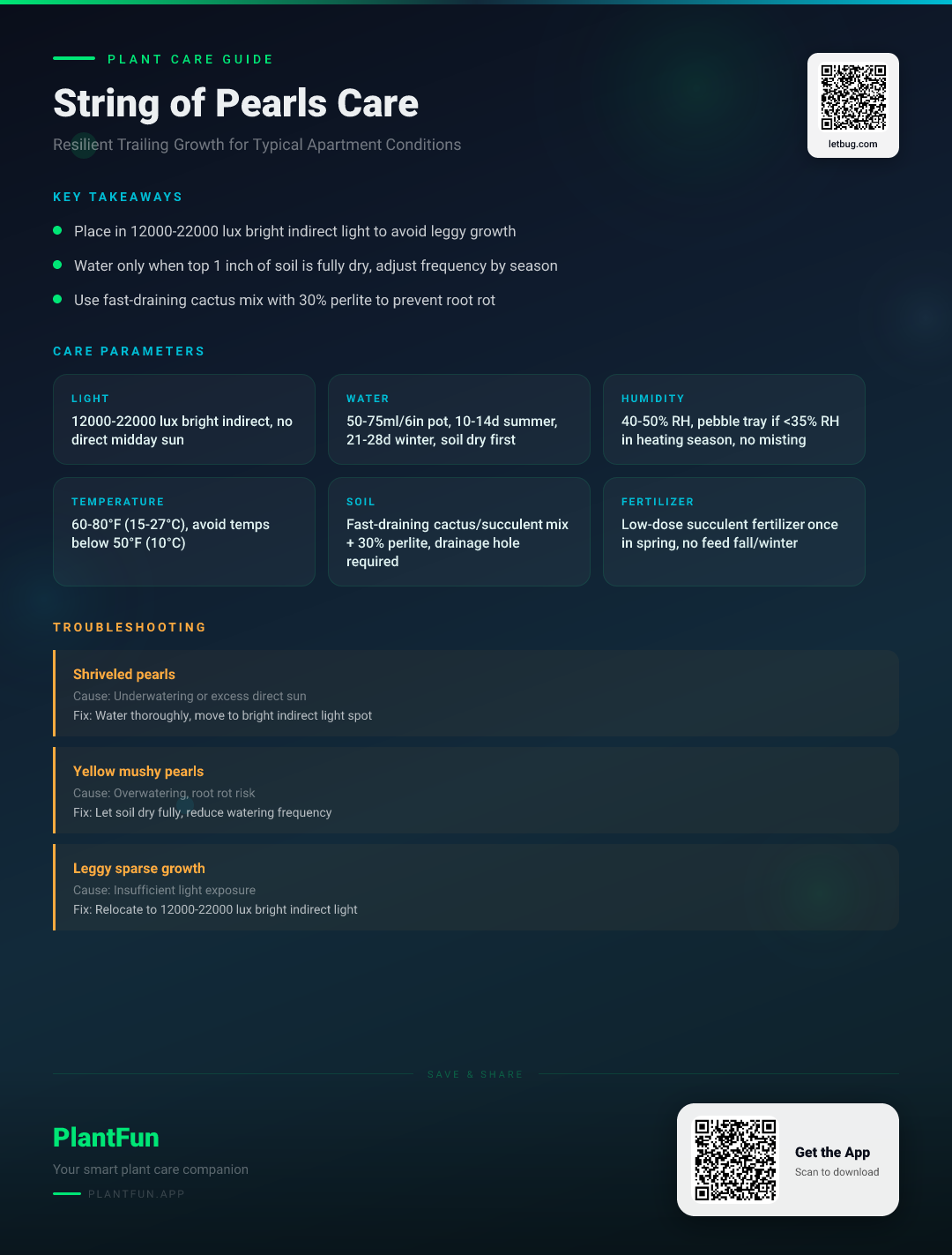 The Complete String of Pearls Care Checklist for Resilient Growth in Typical Apartments — Care Guide for indoor houseplants