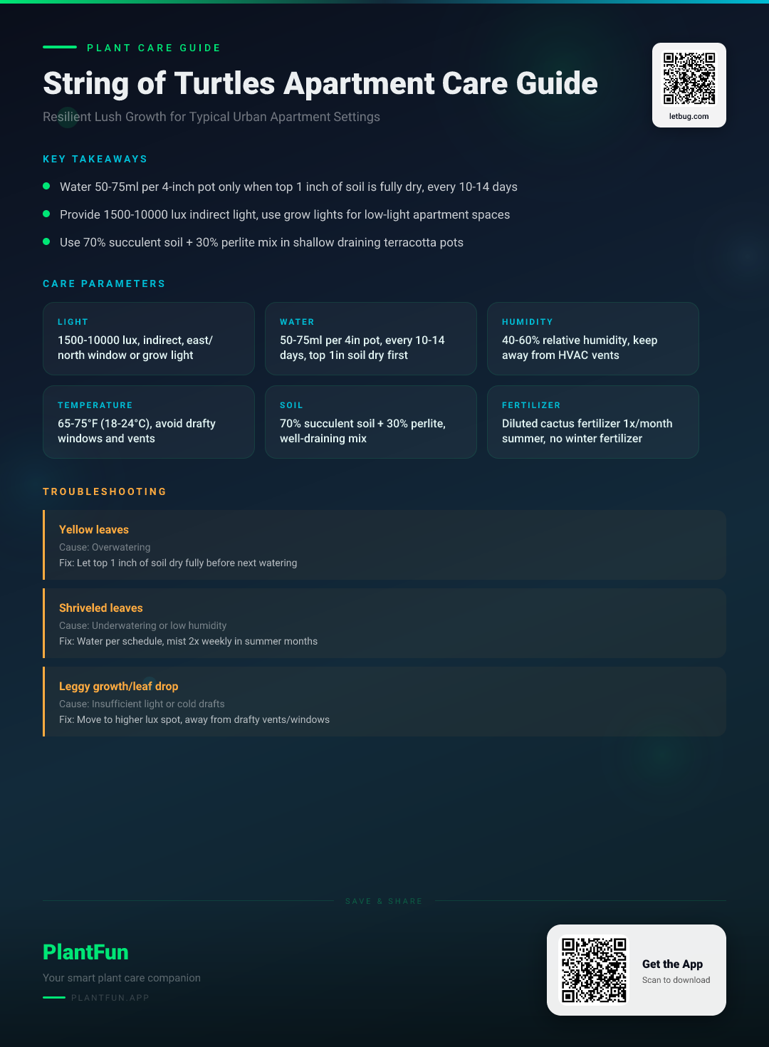 The Complete String of Turtles Care Checklist for Resilient Lush Growth in Typical Urban Apartments — Care Guide for indoor houseplants