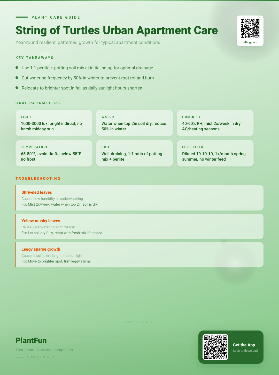 The Complete String of Turtles Care Checklist for Year-Round Resilient Growth in Typical Urban Apartments — Care Guide for indoor houseplants