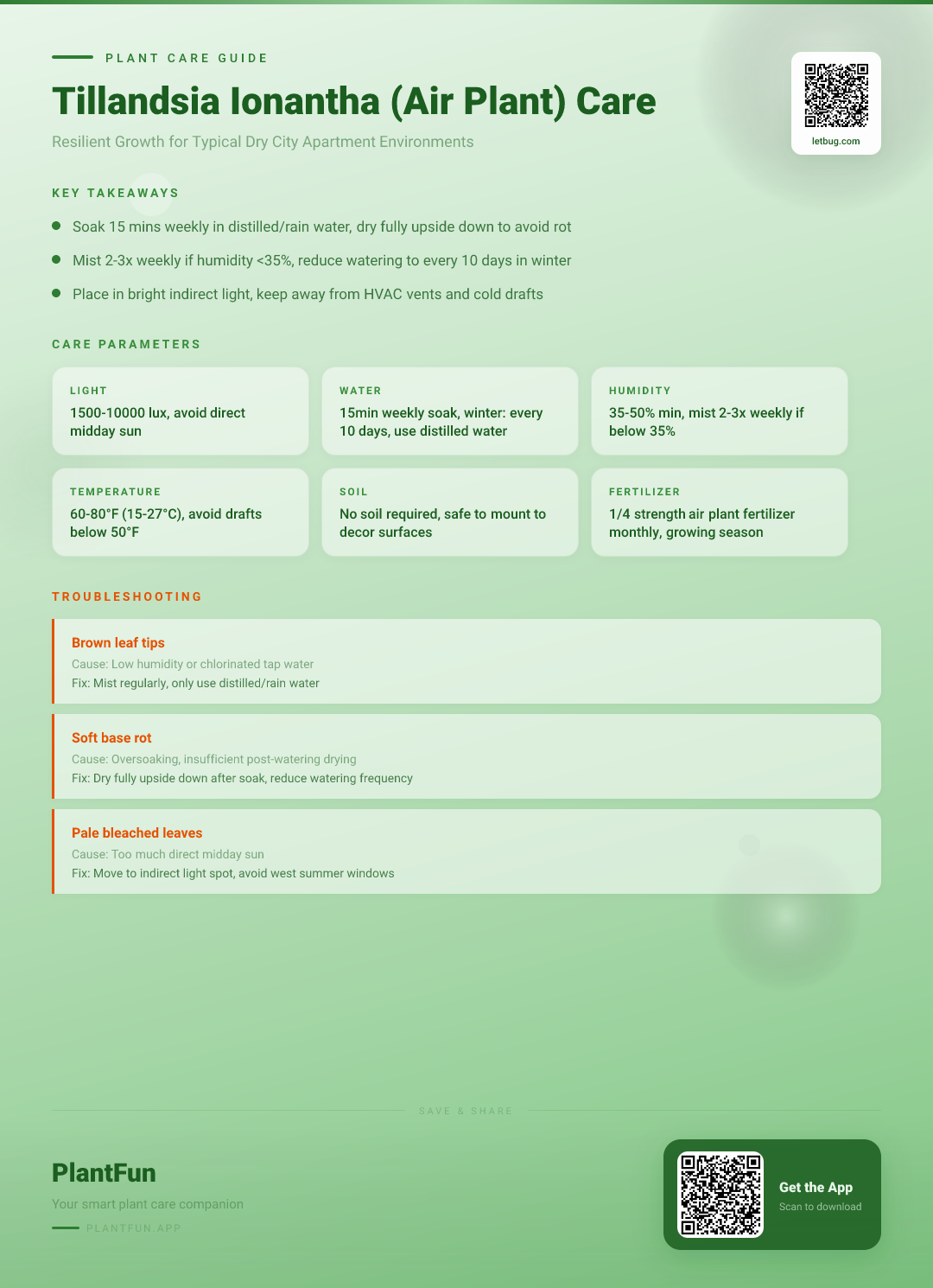 The Complete Tillandsia Ionantha Care Checklist for Resilient Growth in Typical City Apartments — Care Guide for indoor houseplants