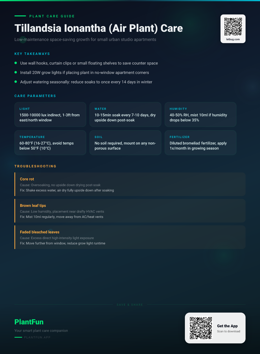 The Complete Tillandsia Ionantha Care Guide for Small Studio Apartments: Grow Thriving Low-Maintenance Air Plants — Care Guide for indoor houseplants