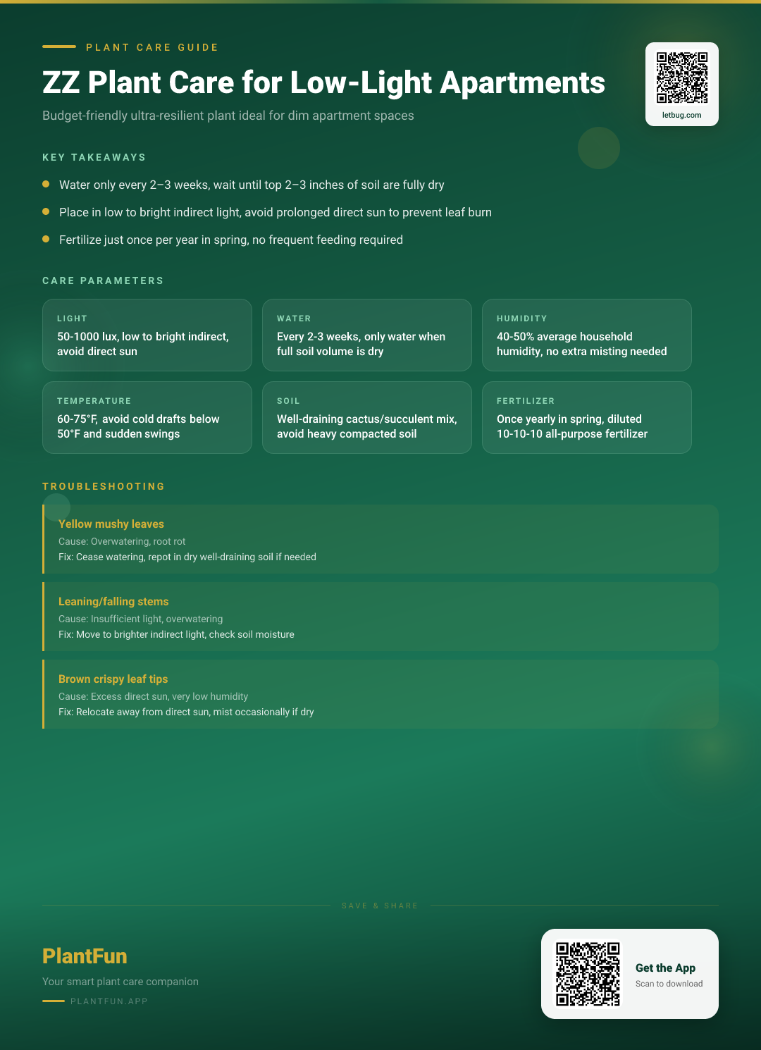 The Complete ZZ Plant Care Guide for Low-Light Apartments: A Budget-Friendly Resilient Growth Plan — Care Guide for indoor houseplants
