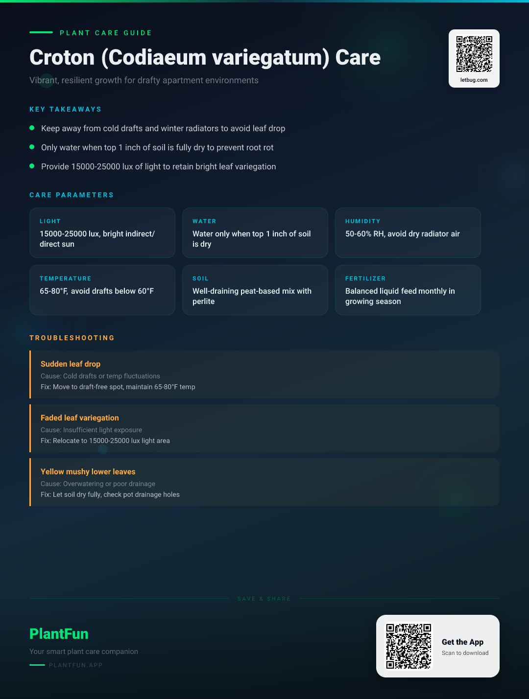Croton Care in a Drafty Apartment: A Seasonal Routine for Vibrant, Resilient Growth — Care Guide for indoor houseplants