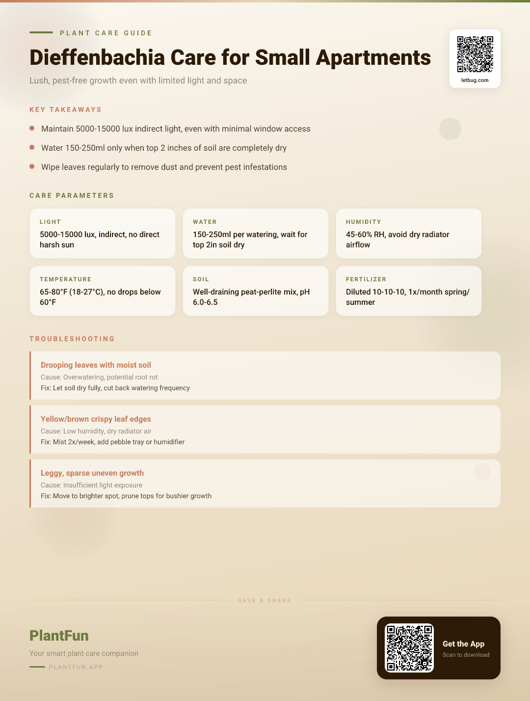 Dieffenbachia Care in Small Apartments: How to Thrive in Limited Light and Space — Care Guide for indoor houseplants