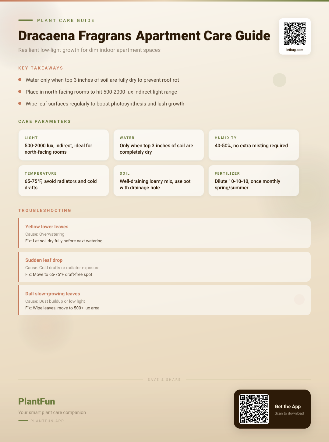 Dracaena Fragrans in a Dim Apartment: The Complete Care Guide for Resilient Growth — Care Guide for indoor houseplants