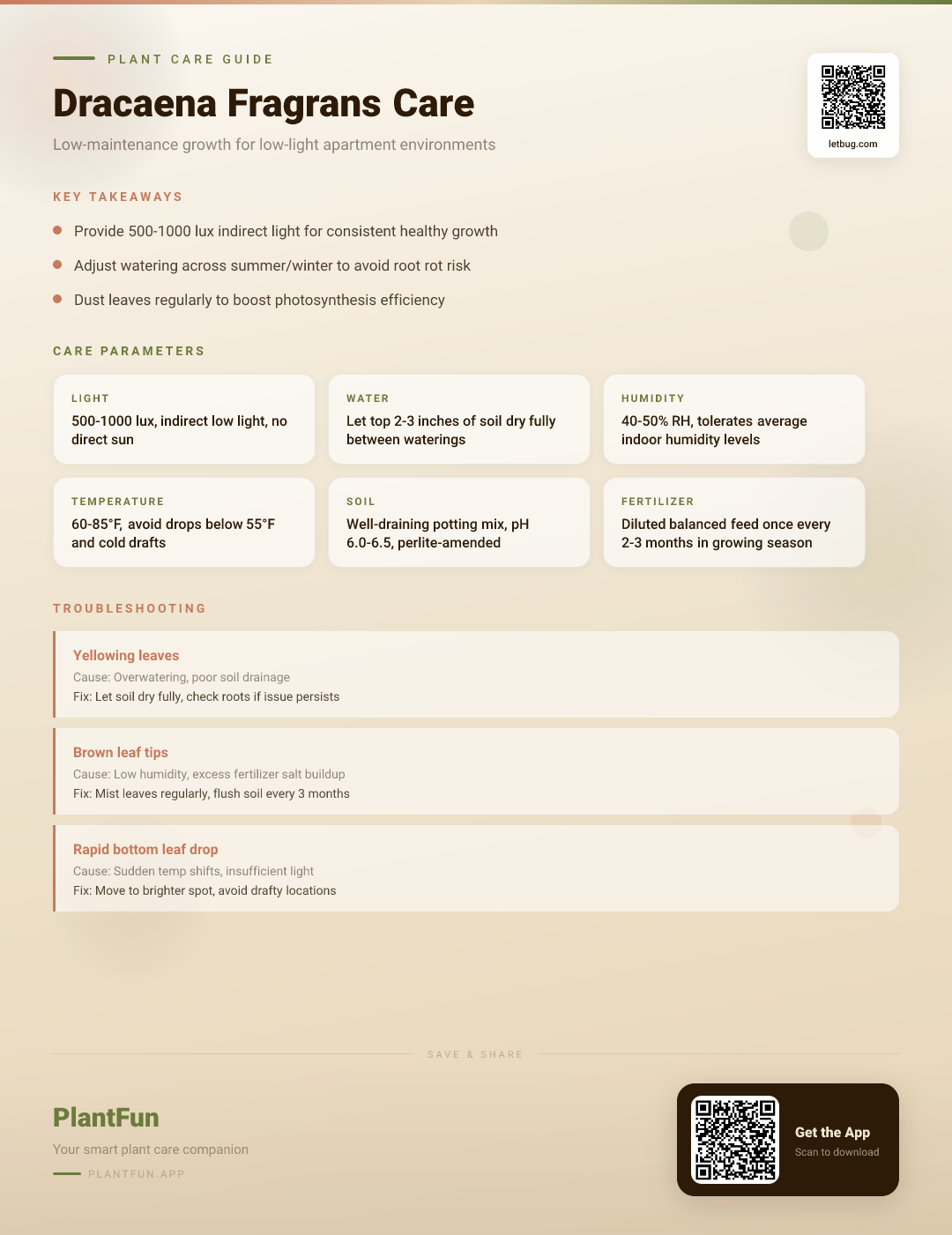 Dracaena Fragrans in a Low-Light Apartment: The Complete Seasonal Care Guide for Success — Care Guide for indoor houseplants