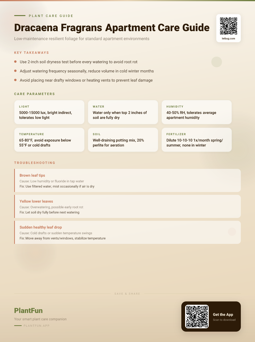 Dracaena Fragrans in a Typical Apartment: The Only Care Guide You’ll Ever Need — Care Guide for indoor houseplants