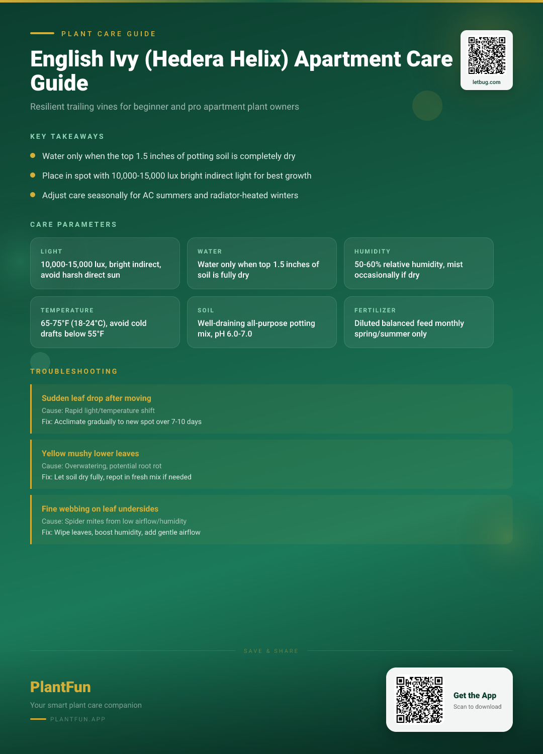 English Ivy in Apartment Living: The Resilient Growth Guide for Beginners and Pros — Care Guide for indoor houseplants
