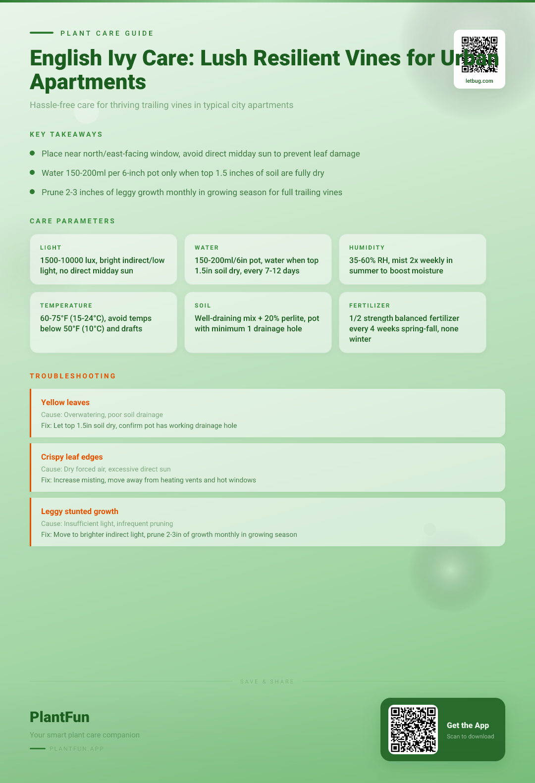 English Ivy Care Checklist: Grow Resilient, Lush Vines in Your Typical Urban Apartment — Care Guide for indoor houseplants