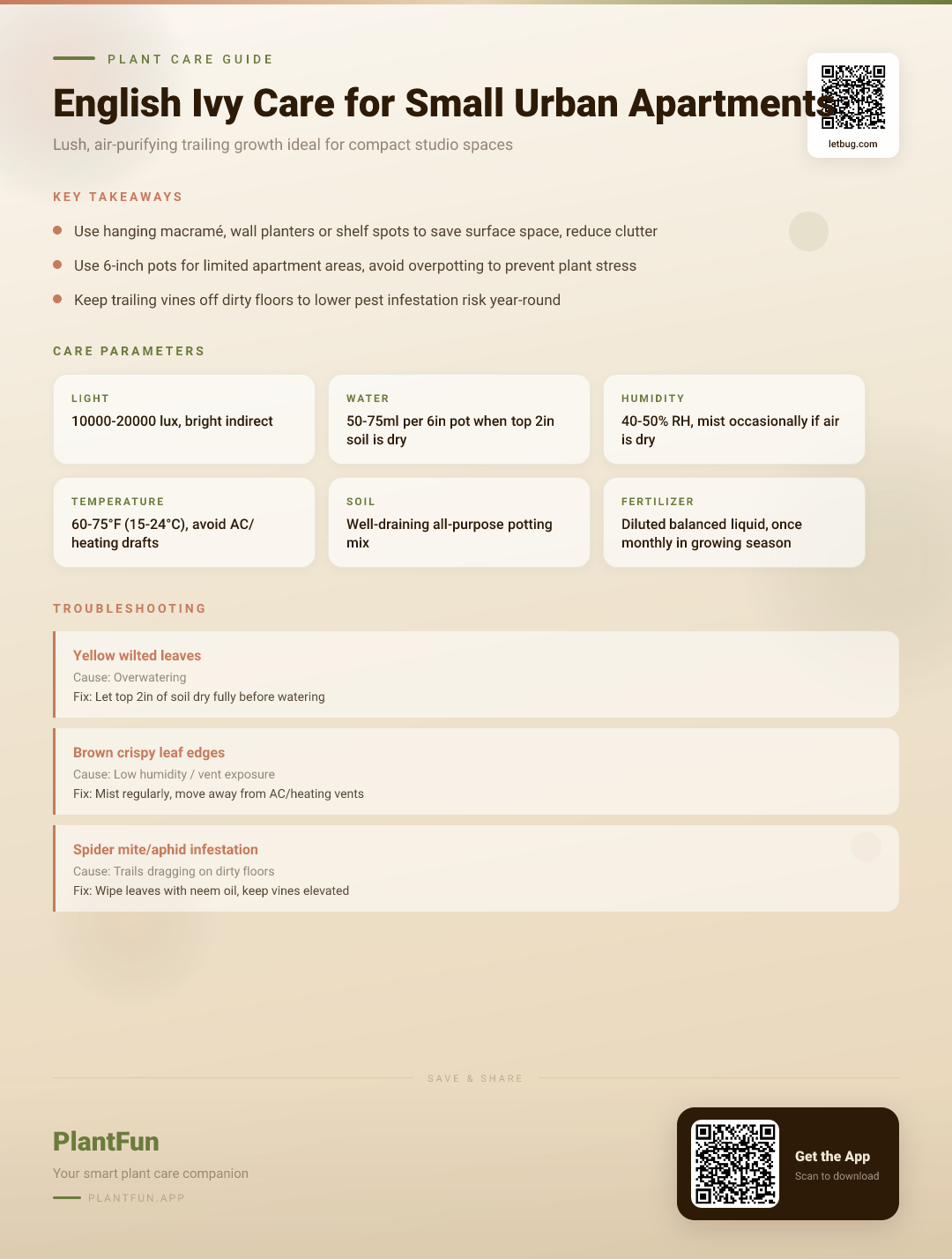 English Ivy Care Guide for Small Urban Apartments: Tips for Resilient Trailing Growth — Care Guide for indoor houseplants