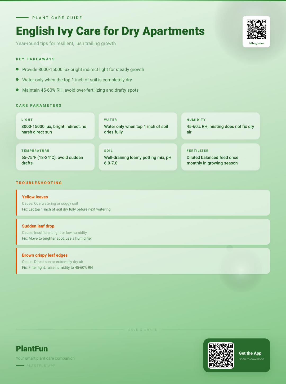 English Ivy in a Dry Apartment: The 12-Month Resilient Growth & Care Checklist — Care Guide for indoor houseplants