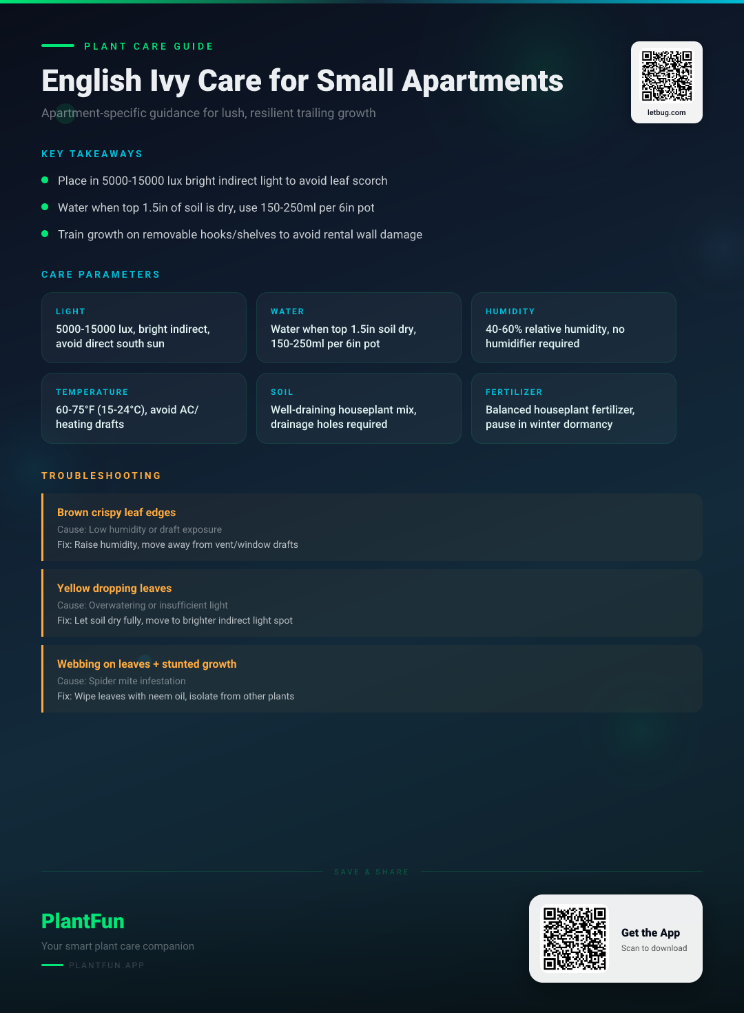 English Ivy in Standard Small Apartments: 8-Step Care Checklist for Lush Resilient Growth — Care Guide for indoor houseplants