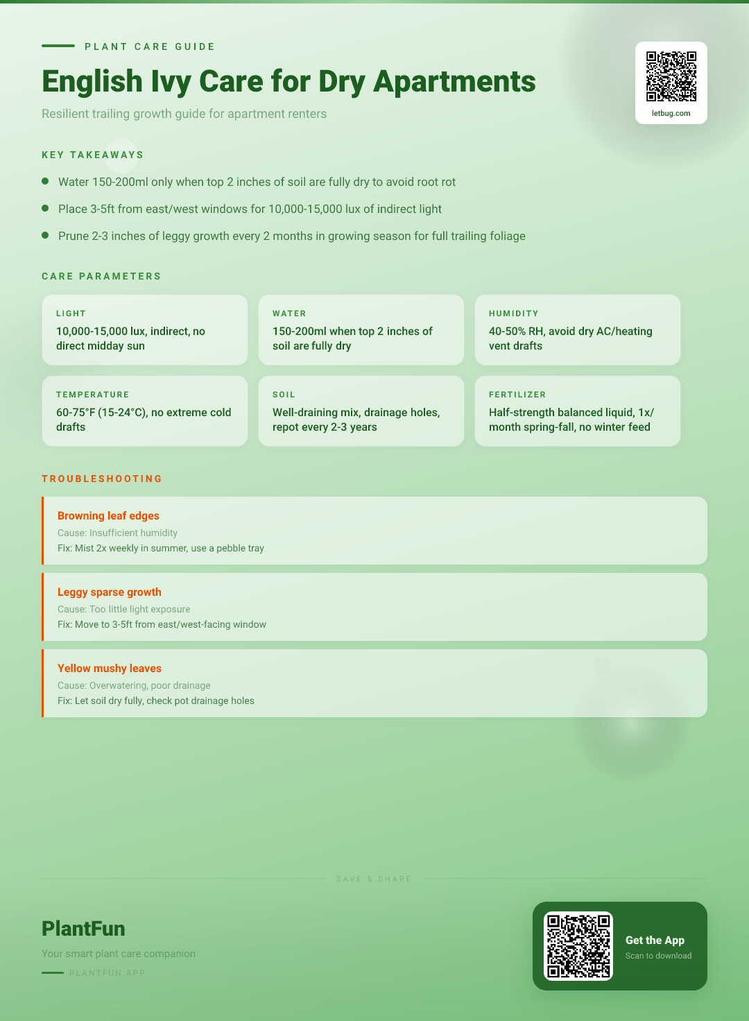 English Ivy in Typical Dry Apartments: The Complete Resilient Growth Care Checklist — Care Guide for indoor houseplants