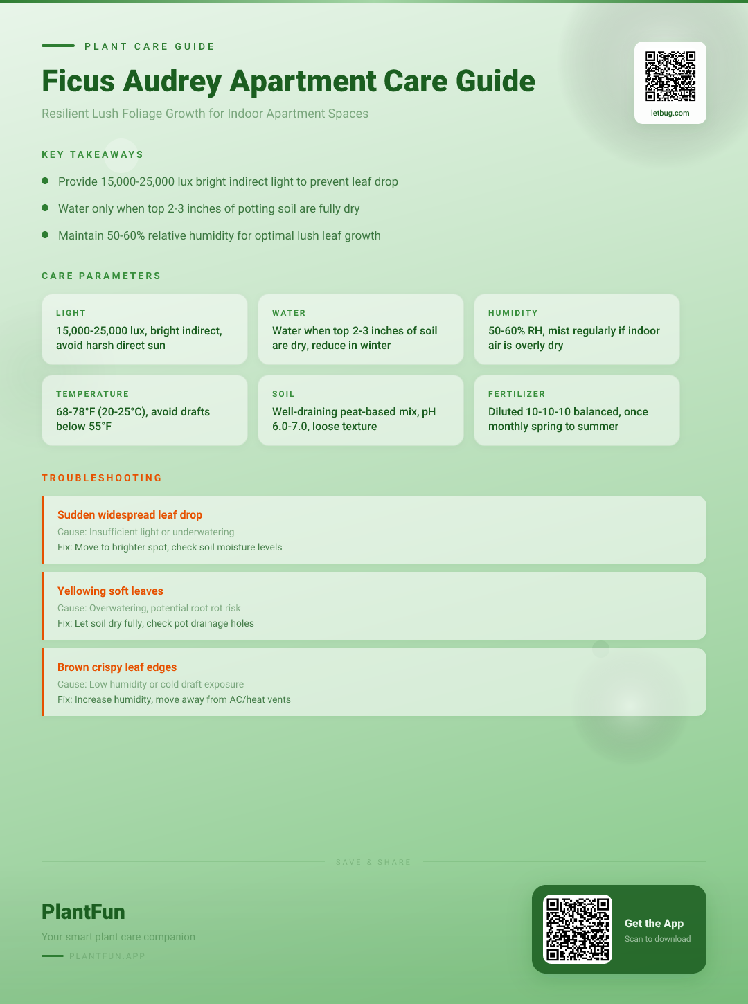 Ficus Audrey in Apartments: The Complete Care Guide to Resilient Growth and Lush Leaves — Care Guide for indoor houseplants