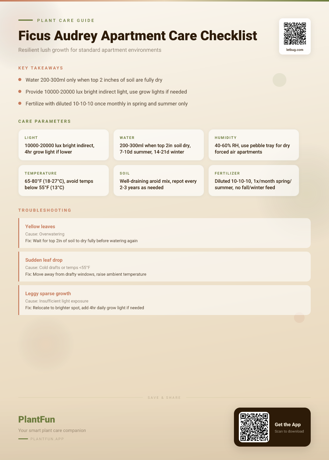 Ficus Audrey Care Checklist: 12 Rules for Resilient Growth in Typical Apartments — Care Guide for indoor houseplants