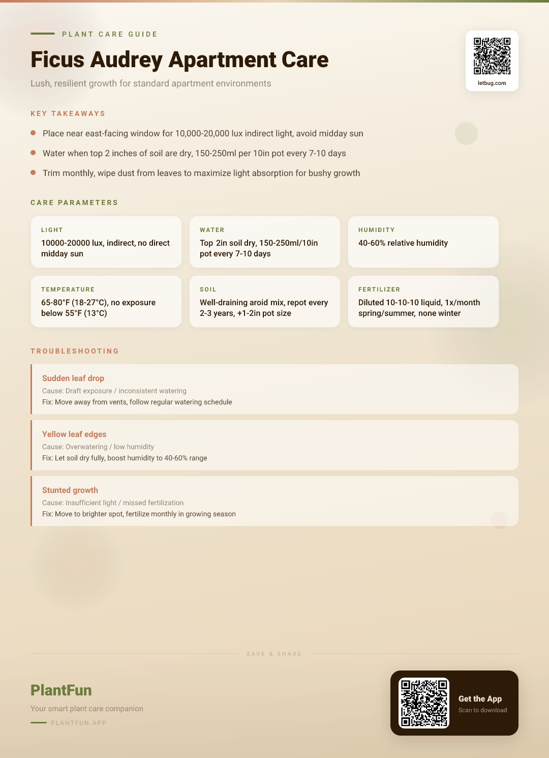 Ficus Audrey in Typical Apartments: The Only Care Checklist You’ll Need for Lush, Resilient Growth — Care Guide for indoor houseplants