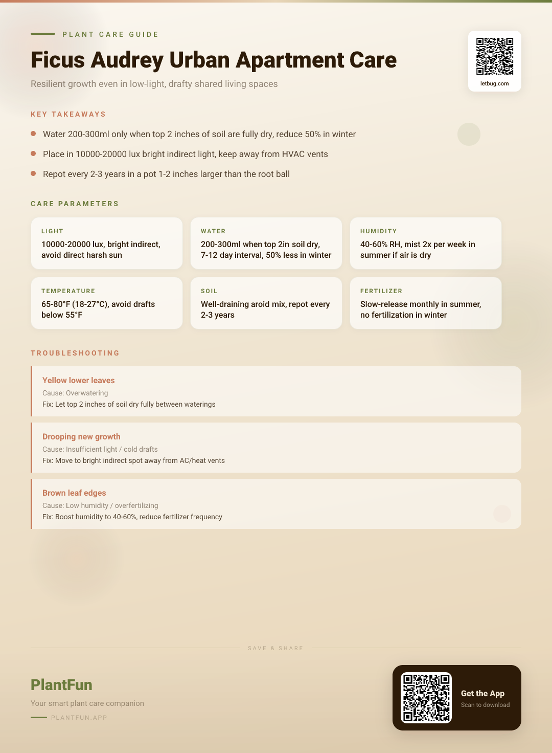 Ficus Audrey in Typical Urban Apartments: The Only Care Checklist You Need for Resilient Growth — Care Guide for indoor houseplants