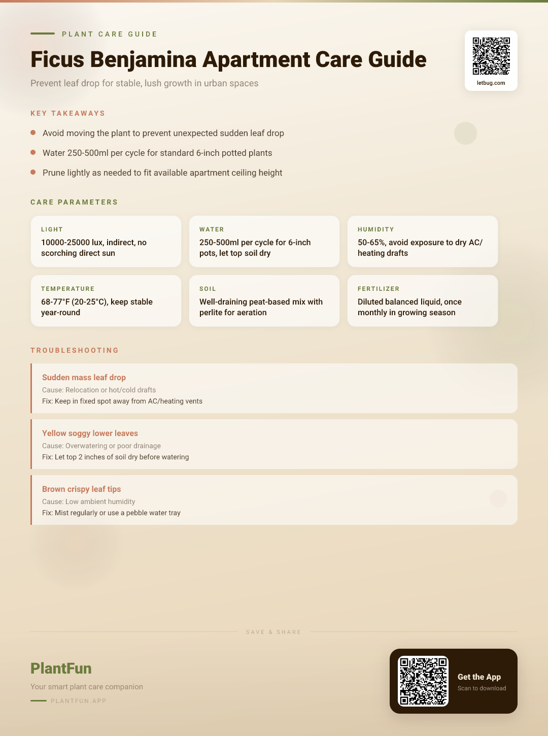 Ficus Benjamina in Apartment Living: The Ultimate Resilience Guide for Stable, Lush Growth — Care Guide for indoor houseplants