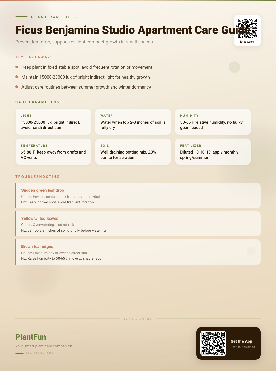 Ficus Benjamina in a Studio Apartment: The Ultimate Small-Space Resilient Growth Guide — Care Guide for indoor houseplants