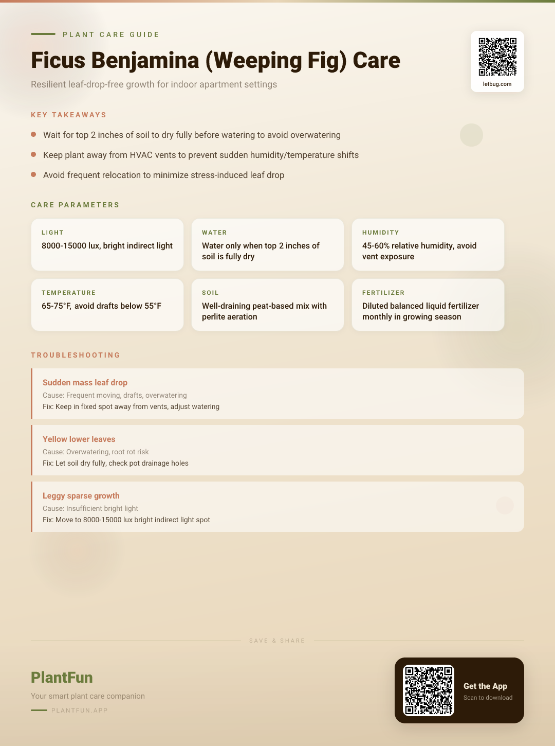 Ficus Benjamina in Your Apartment: The Definitive Care Guide for Resilient, Leaf-Drop-Free Growth — Care Guide for indoor houseplants