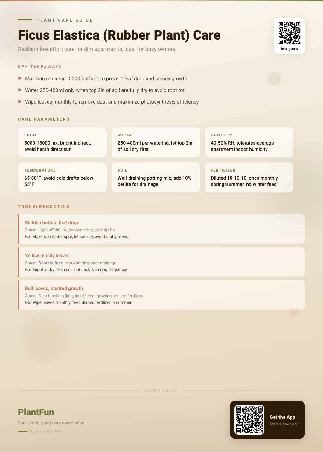 Ficus Elastica Care for Dim Apartments: A Resilient Growth Guide for Busy Owners — Care Guide for indoor houseplants